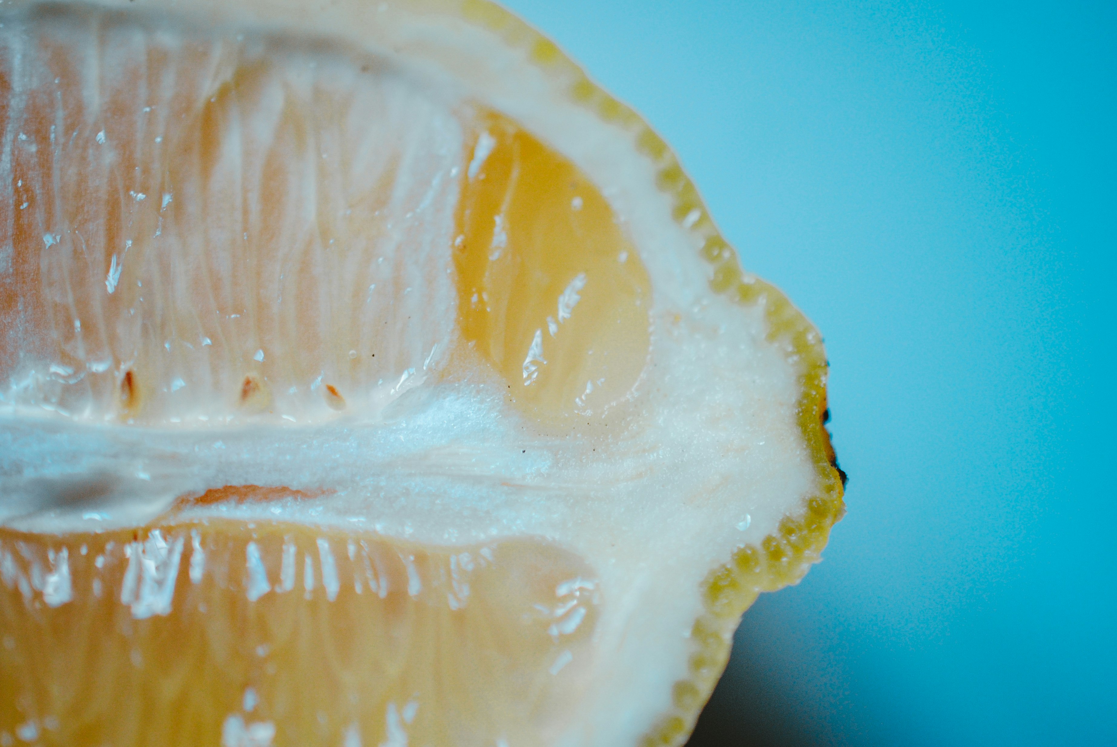 sliced lemon fruit on blue surface